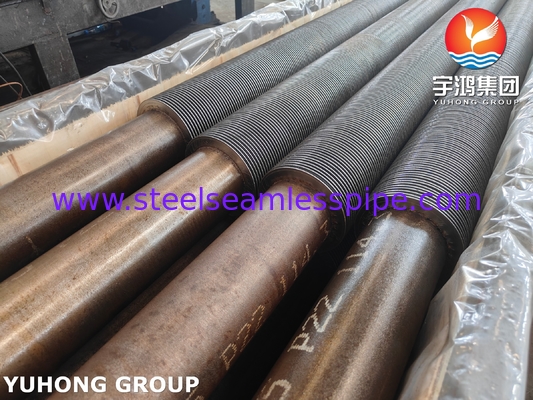 ASTM A335 P22 Alloy Steel Seamless Tube With 11-13CR HFW Fin Tube For Convection Coil