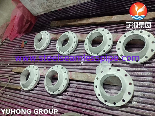 ASTM B564 N10276 Nickel Alloy Steel Forged Flange B16.5 for High Temperature Application