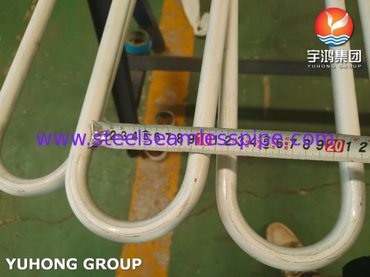 ASTM A213 TP304 Seamless U-Bend Tube for Boiler, Superheater and Heat Exchanger
