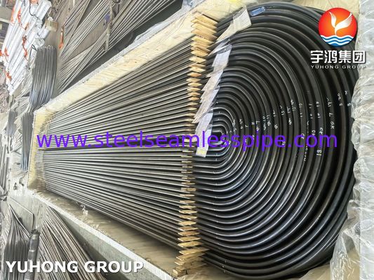 Stainless Steel Heat Exchanger U Bend Tube A213/SA213 TP304L Bright Annealed BA Seamless Grade TP304L / UNS S30403