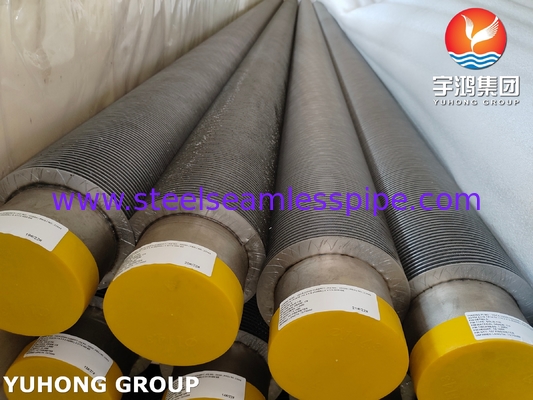 ASTM A376 TP347H Solid Fin Tube for Heat Exchangers and Boilers