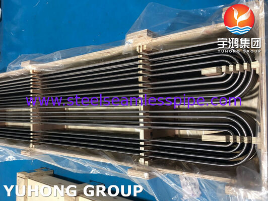 U Bend Sanitary Tube , 3A / ASTM A270 TP316L Bright Annealed Stainless Steel Seamless Tube