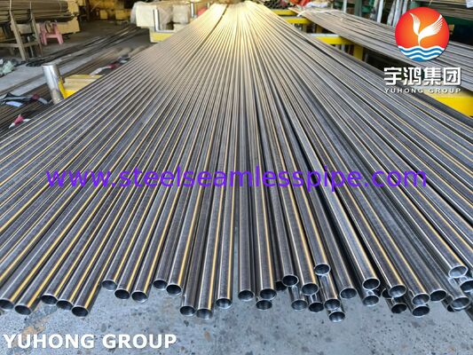 Stainless Steel Seamless Bright Annealed Tube ASTM A269 TP321H For Boiller