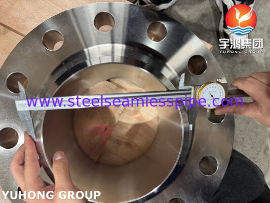 ASTM A182 F51 UNS S31803 Duplex 2205 Blind RF Flange for Oil and Gas Piping