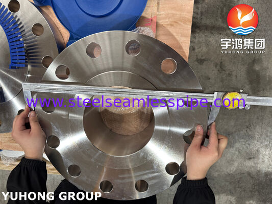 ASTM A182 F51 UNS S31803 Duplex 2205 Blind RF Flange for Oil and Gas Piping