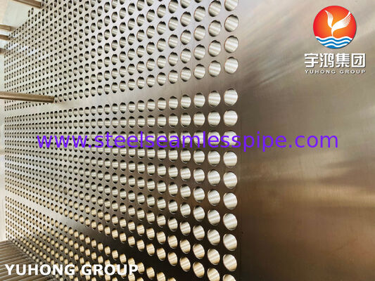 ASME SA213 TP316L Tube Bundle, SA350 LF2 CL1N Tube Sheet for Oil&Gas and Chemical Industry