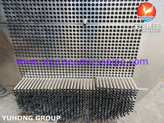 ASME SA213 TP316L Tube Bundle, SA350 LF2 CL1N Tube Sheet for Oil&Gas and Chemical Industry