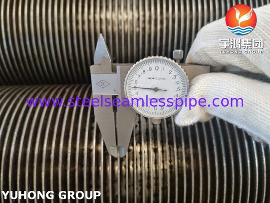 Seamless TP321H High Frequency Welded Finned Tube with CS Fins