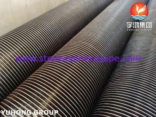 Seamless TP321H High Frequency Welded Finned Tube with CS Fins