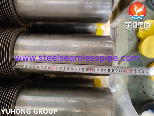 Seamless TP321H High Frequency Welded Finned Tube with CS Fins