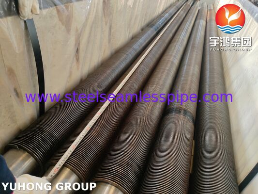 Seamless TP321H High Frequency Welded Finned Tube with CS Fins