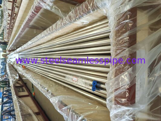 ASME SA213 TP304H Seamless Boiler Tube For Superheater And Reheater