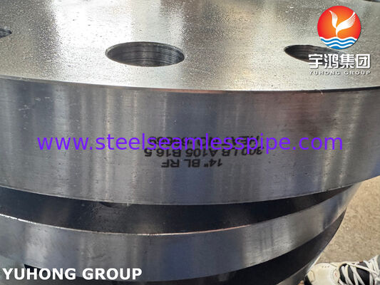 ASTM A182 F316L Blind Flange 1.4404 Stainless Steel Flange Forged Flange BLRF Flange