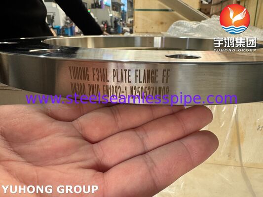 EN1092-1 F316L Stainless Steel Flate Face Plate Flange PN2.5-PN100, DN10-DN600