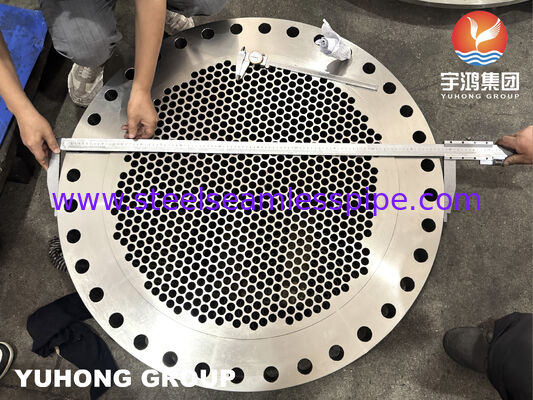 ASTM A182 F316L Stainless Steel Forged Tubesheet with Precision Machined Tube Holes for Heat Exchangers