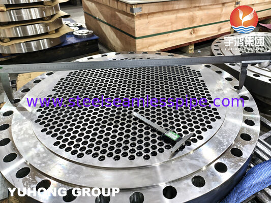 ASTM A182 F316L Stainless Steel Forged Tubesheet with Precision Machined Tube Holes for Heat Exchangers