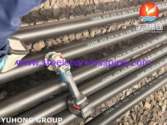 ASTM A335 Grade P9 Alloy Steel Seamless Pipe Chrome Moly Pipe for High-Temperature Service