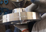 ASTM B462 UNS N08367 Forged Stainless Steel Flanges