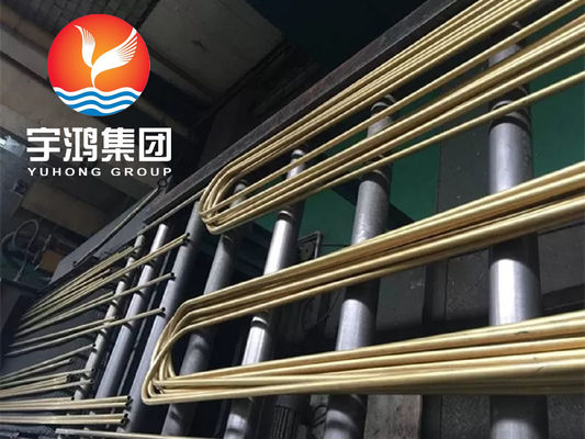B111 C68700 Aluminium Brass o61 Annealed U Bend Tube Copper Alloy Cold Drawn
