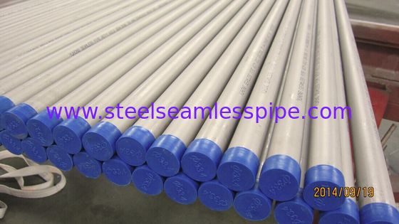 Straight Stainless Steel Seamless Pipe