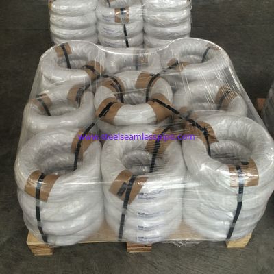 Mechanical Bending 303 Ss Spring Wire Small Torsion Alloy Wires