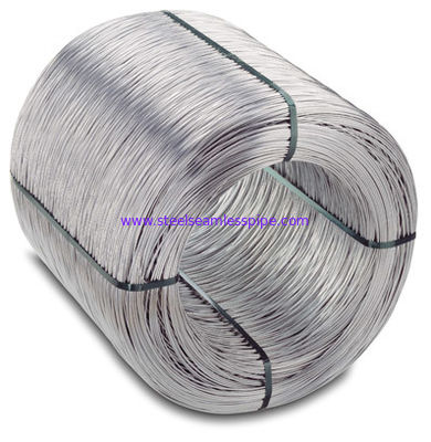 Medical Instruments EPQ High Temperature Resistance Wire Ss Forming Wire