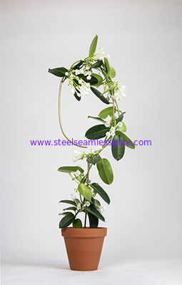 Metal Plant Support Stainless Steel Wire Forming Bright Surface For Potted Plants