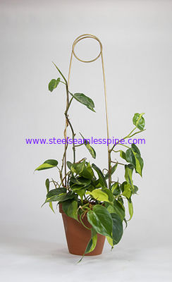 Metal Plant Support Stainless Steel Wire Forming Bright Surface For Potted Plants