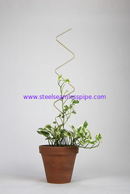 Metal Plant Support Stainless Steel Wire Forming Bright Surface For Potted Plants