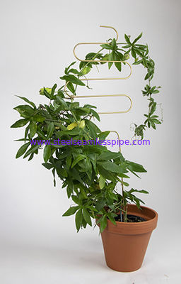 Metal Plant Support Stainless Steel Wire Forming Bright Surface For Potted Plants