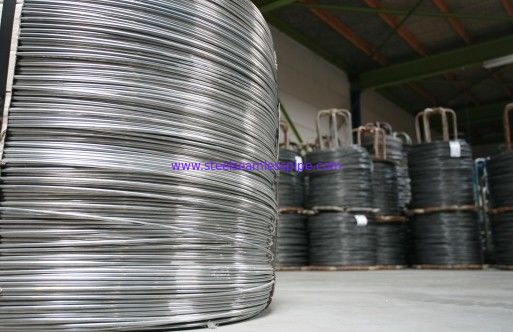 Electrical Nails Wire Mechanical Hot Dipped Galvanized For Fencing