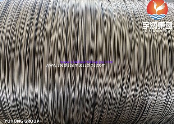 Stainless Steel Needle Tube T.I.G Welded and Seamless TP304 TP316L Capillary
