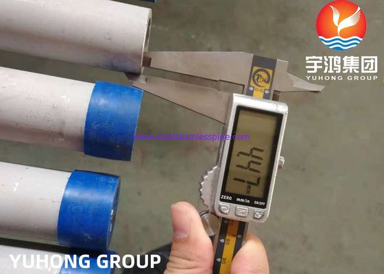 Stainless Steel Seamless Pipe ASTM A312 TP304L TP304H TP321 TP316L Annealed and Pickled