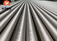 ASTM B407 INCOLOY 800(NO8800/DIN 1.4876) NICKEL ALLOY STEEL SEAMLESS TUBE
