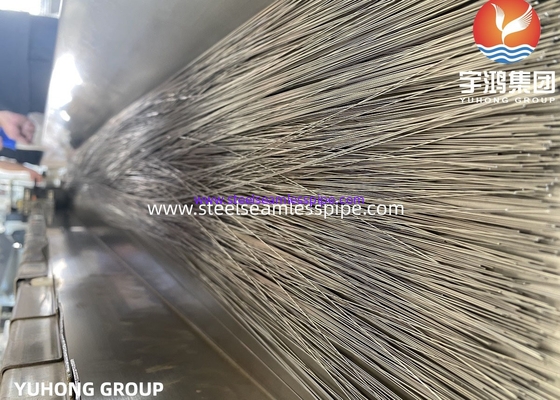 Stainless Steel Needle Tube T.I.G Welded and Seamless TP304 TP316L Capillary