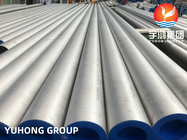ASTM A312 TP309S , TP310S , TP310H Stainless Steel Seamless Pipe High Temperature application