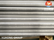 ASTM A213 Stainless Steel Seamless Tube TP321 Pickled and Annealed Plain End NDT Approved