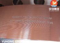 ASTM A182 F51 F53 F55 Super Duplex Steel Forged Weld Neck RF Flange For Water Treatment