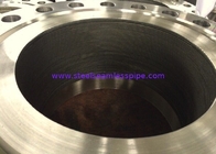 Nickel Alloy Steel Flange, Hastelloy, Incoloy, Inconel Forged Flange ASTM B564/ ASME SB564