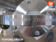 DIN2573 ASTM A182 F316L Slip On Flanges Stainless Steel Forged Flanges
