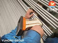 ASTM A213 TP304L Stainless Steel Seamless Boiler Tube, NDE ECT Available
