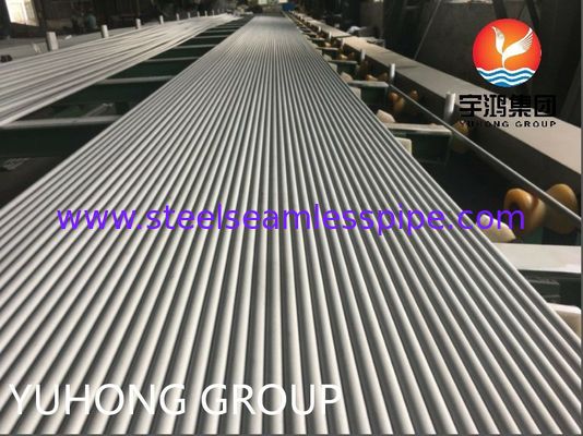 ASME SA213 TP304 Bright Annealed Stainless Steel Seamless Tube for Heat Exchanger and Boiler