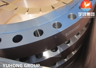 ASTM A182 F51 F53 F55 Super Duplex Steel Forged Weld Neck RF Flange For Water Treatment