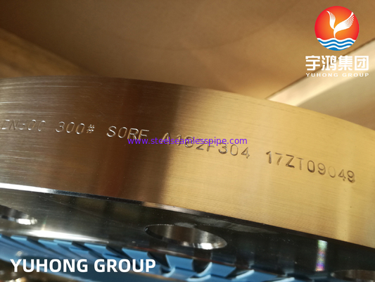 ASTM A182 F304 F304L Forged Steel Flanges F.F. / R.F. And R.T. Face Type
