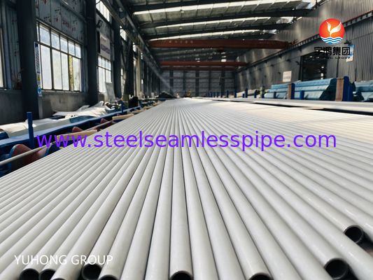 ASTM A213 TP316L Cold Rolled Stainless Steel Seamless Pipe for High Temperature Heat Exchanger with Chloride Corrosion Resistance