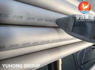 ASTM 312 TP316, TP316L Stainless Steel Seamless Pipe For Power Generation
