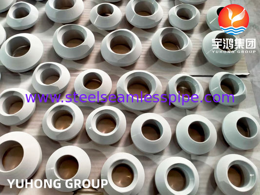 B366 Hastelloy C22 / UNS N06022 Weldolet, Nickel Alloy Forged Fitting B16.11 used in Desalination Plants
