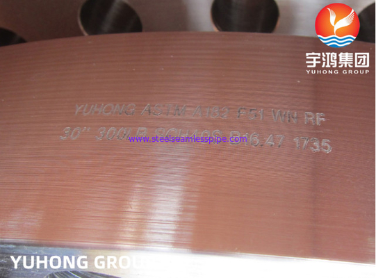 Water Desalination ASTM A182 F51(UNS S31803) Duplex Steel Weld Neck RF Flange B16.47