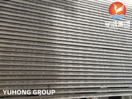 ASTM A790 UNS S32205 Duplex Stainless Steel Seamless Pipe