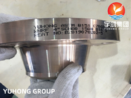 ASTM B151 C70600 Cu-Ni 90/10 Copper Nickel Forged Flanges WN RF Flange